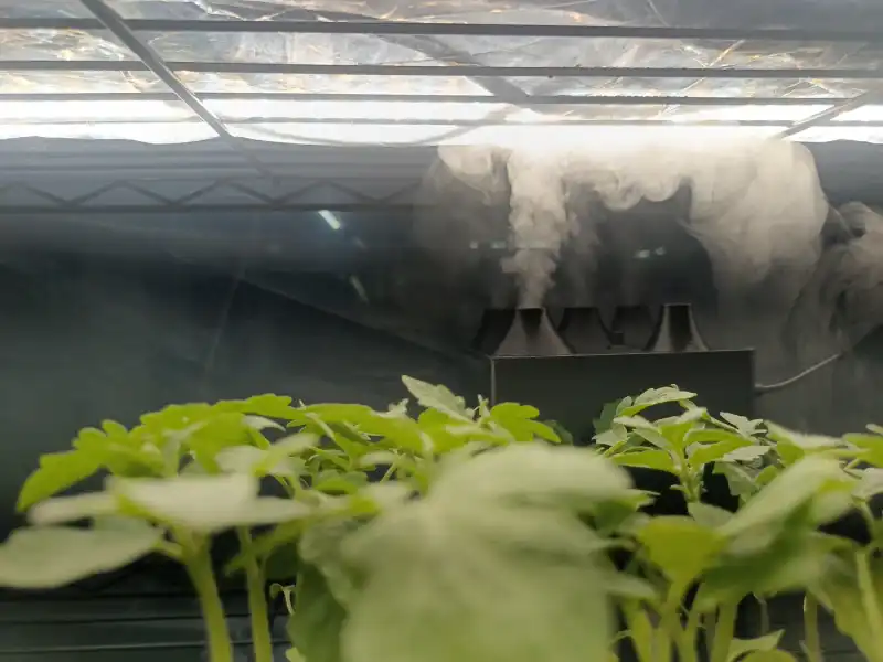 IoT controlled mist generator producing ultrasonic mist for plants